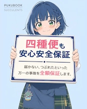 【ハオルチア玉扇セット 2種】ハオルチア 玉扇 北斎/ハオルチア 玉扇 写楽