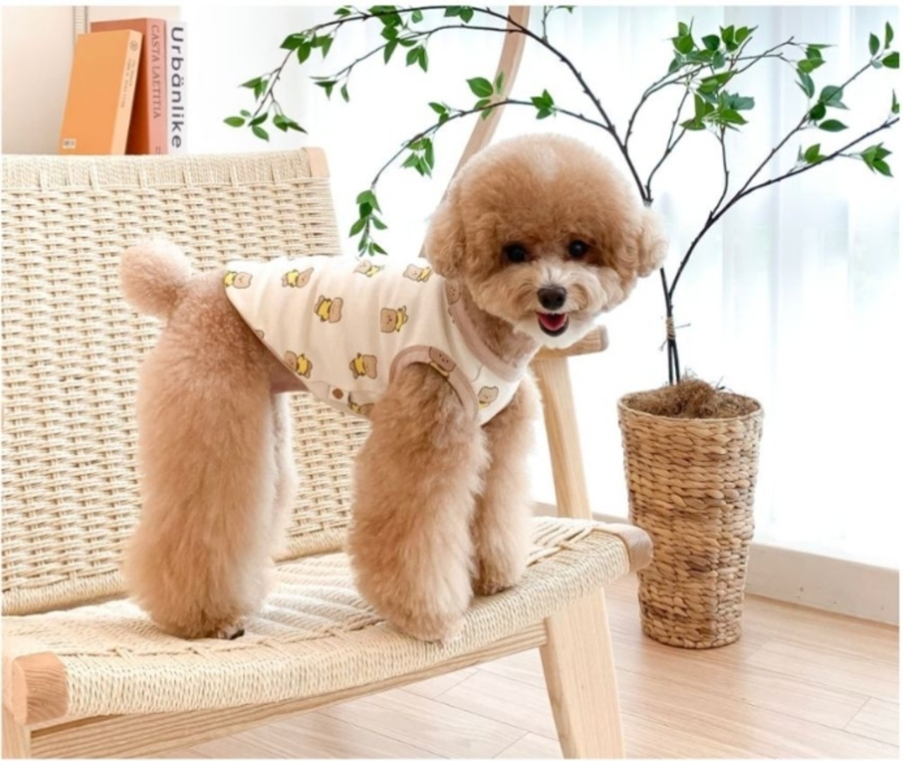 予約  【pecoramou select】Plump Bear T-Shirt Sleeveless（Ivory）