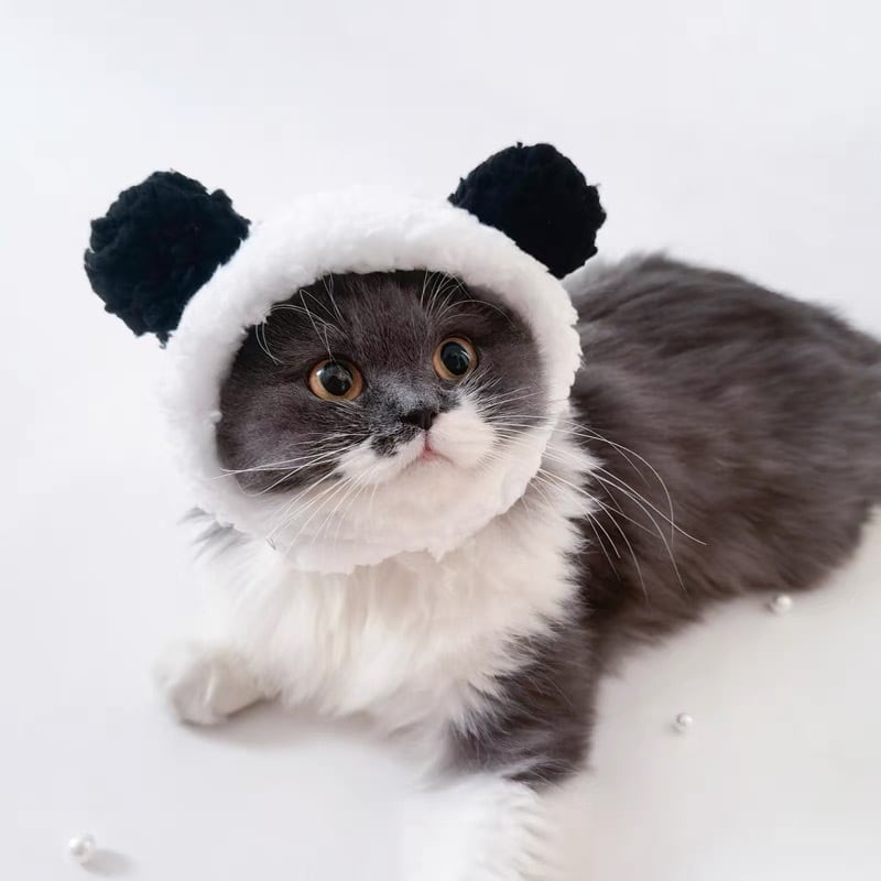 パンダ被り物 猫 帽子 コスプレ | nyanpets 猫グッズ専門店