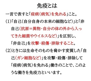 乳酸発酵ハナビラタケ「創健和心身」