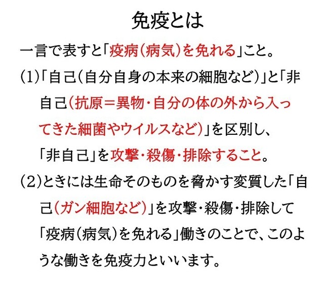 乳酸発酵ハナビラタケ「創健和心身」