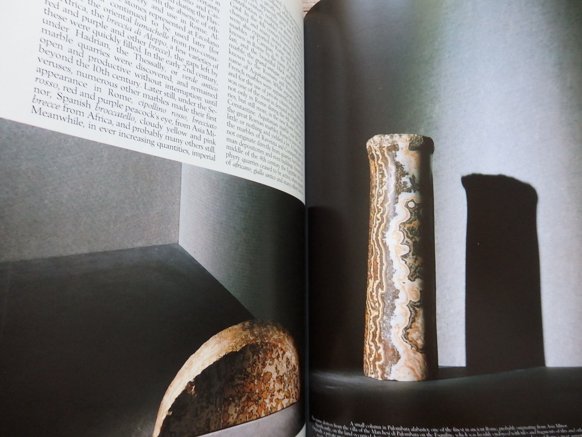 Terrazzo」Number 1, 1988 Fall（a） | 古書つくし