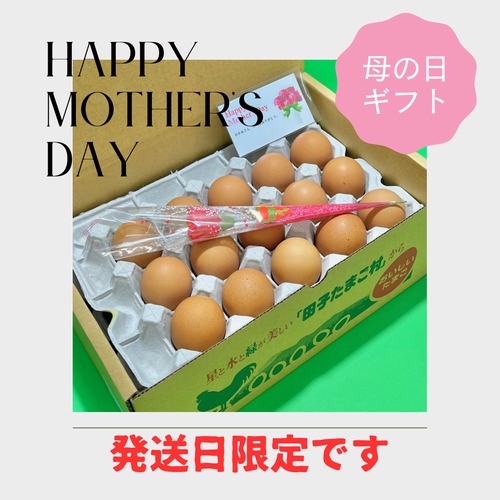 【Happy　Mother′s　Day】早割　母の日ギフト！！10％OFF【～4/30（火）までのご注文限定】平飼い有精卵（３０個）