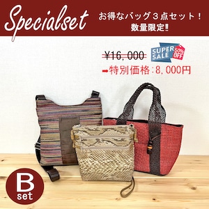 数量限定！【Specialset】バッグ３点セット (B)