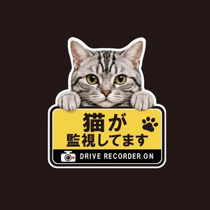 アメリカンショートへアー・アメショー・猫・ドライブレコーダー・撮影中・車・ステッカー・インクジェット印刷・屋外用・猫好き・ドライブグッズ・監視しています