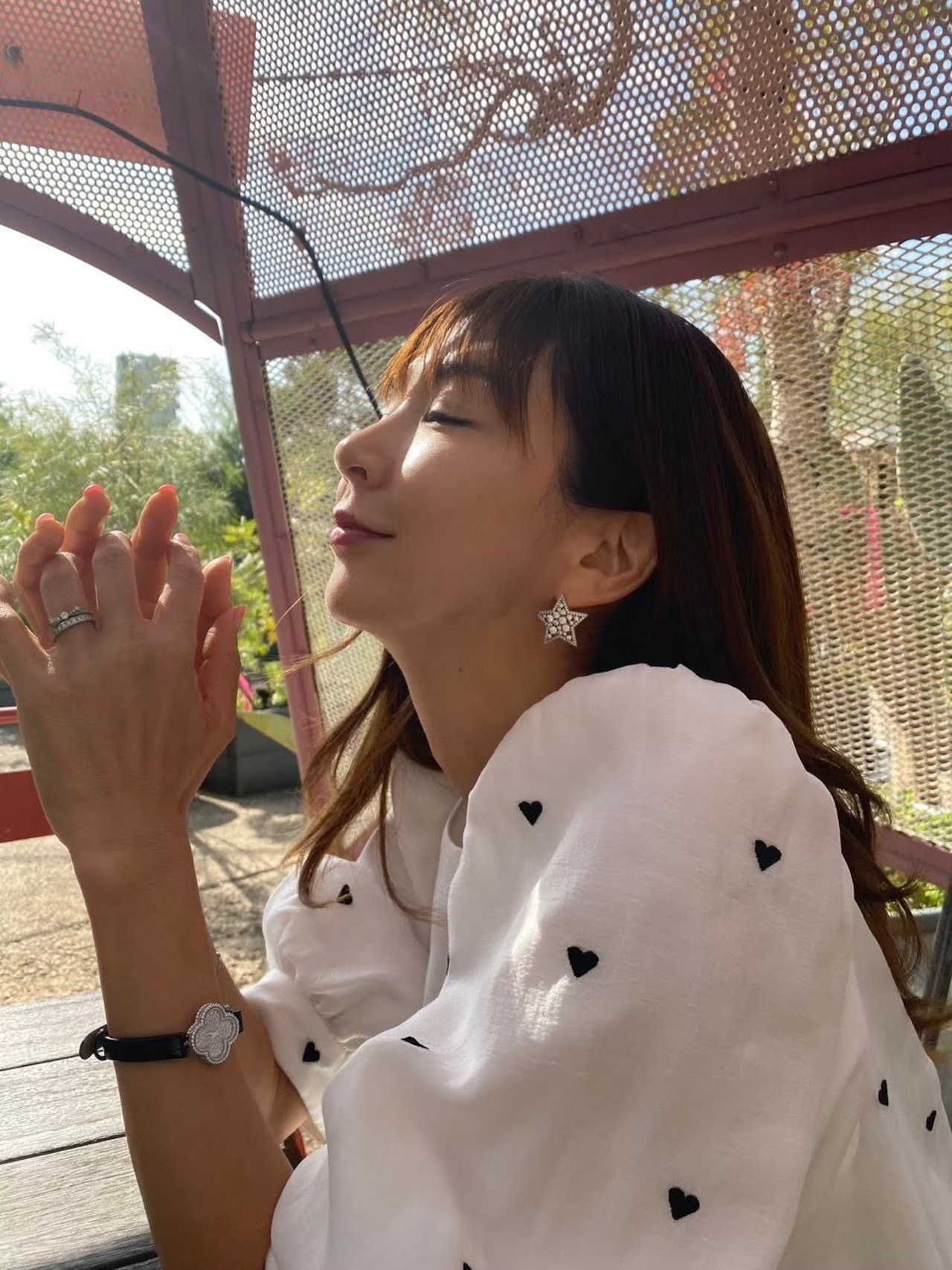 ツインスター ( ゴールド / シルバー )