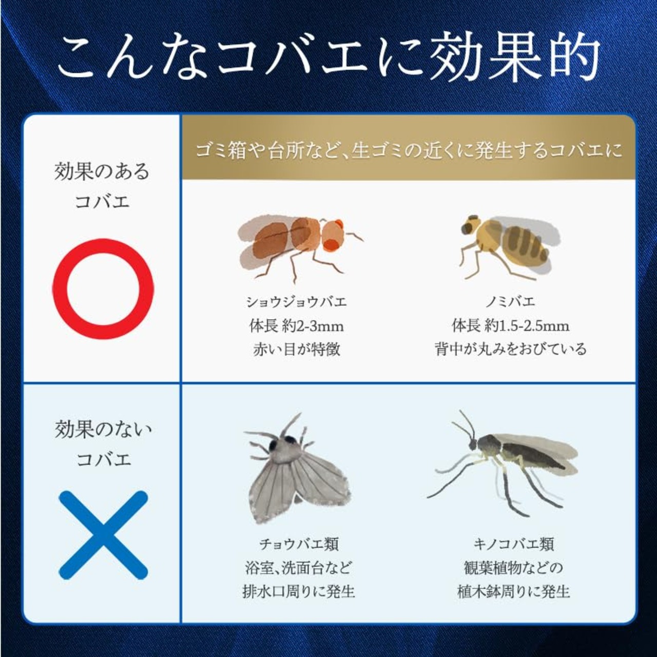 レック(LEC) バルサン史上最強効果 コバエ2000 (2個入) / 効果約1ヶ月 / 乳酸菌・果実・お酢のトリプルパワー/主張しないシンプルデザイン