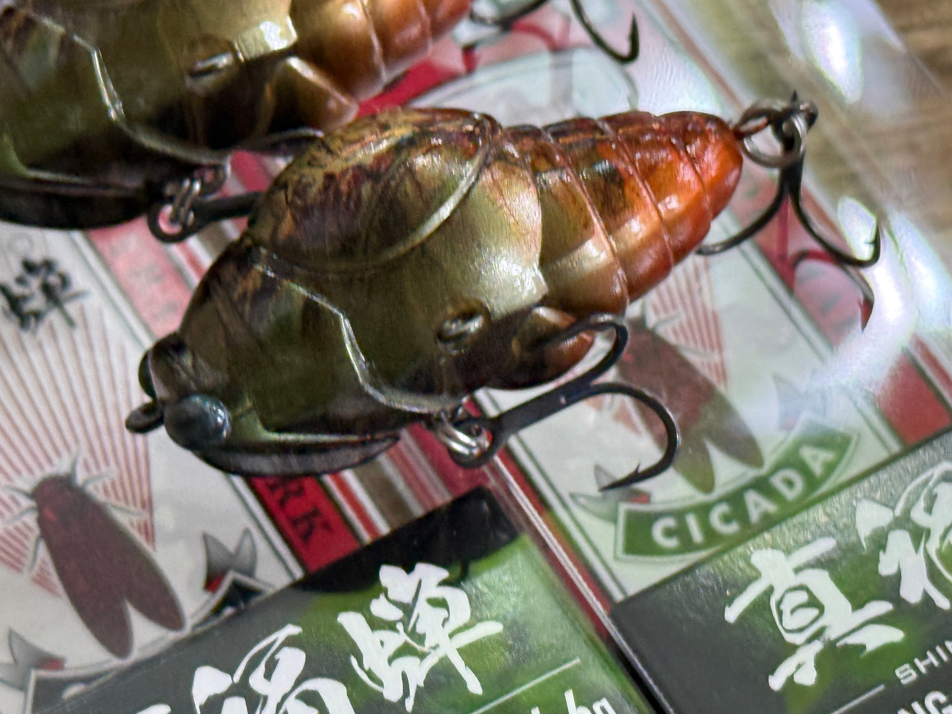 DUO×d3 真福蝉（シンフクゼミ）【新色 #リアルエゾハル】 | Fishing