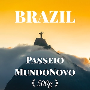 【５００ｇ】 ブラジル  パッセイオ ムンドノーボ / BRAZIL  Passeio MundoNovo 】【中深煎り】
