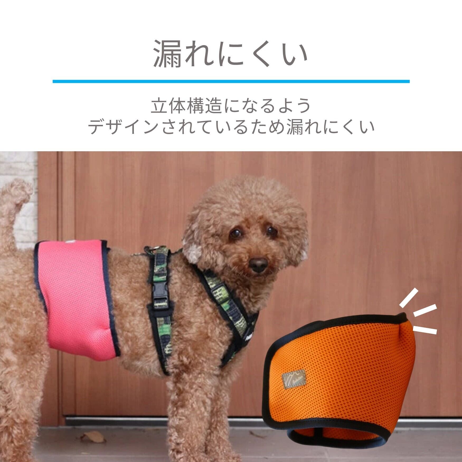 Hakusan]こんなマナーベルトが欲しかった【ファーストマナーベルト