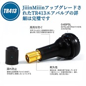 JiiinMiiin TR413 エアバルブ 100個 ゴムバルブ バルブコア付き キャップ付き チューブレス TR-413 タイヤ用スナップインバルブ