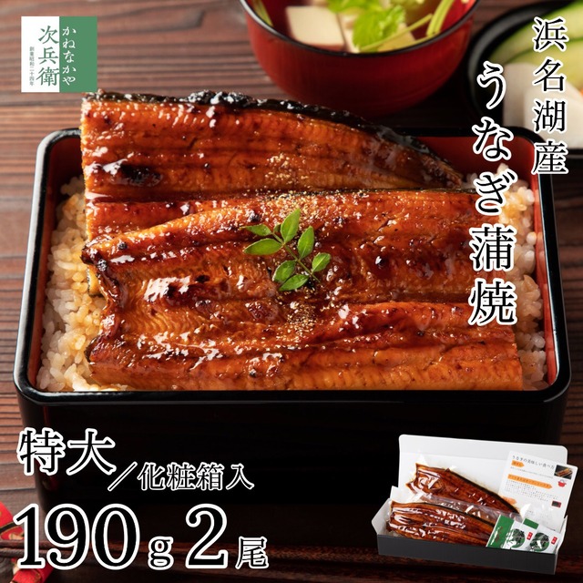 ギフト 浜名湖 国産 うなぎ 蒲焼 無頭 特大サイズ 約190g×2尾【ギフト対応可】お歳暮 お中元 冷凍 鰻うなぎ蒲焼 プレゼント ギフト 贈答用【C配送：冷凍】