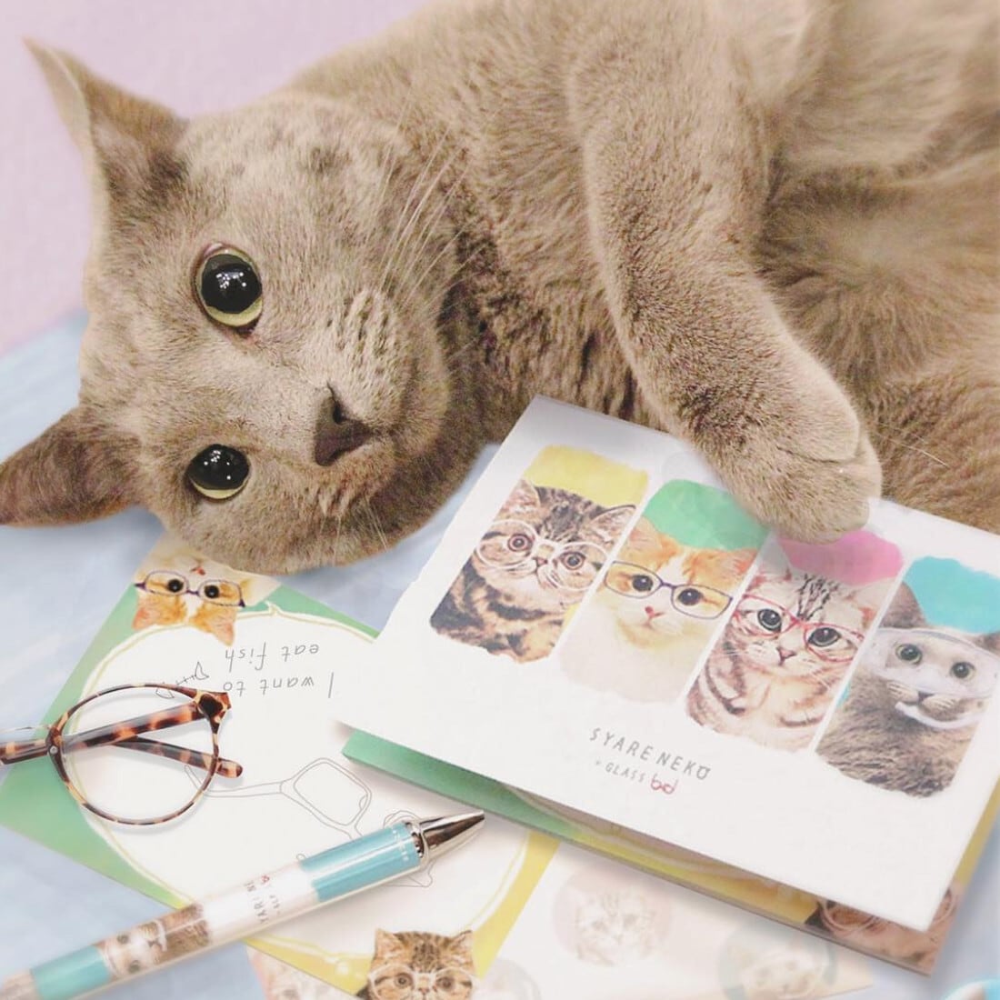 ☆ねこメモパッド｜SYARENEKO×GLASS 猫 ネコ ねこ 猫雑貨 ねこモチーフ ネコ柄 コンパクトサイズ かわいい 文具 メモ帳