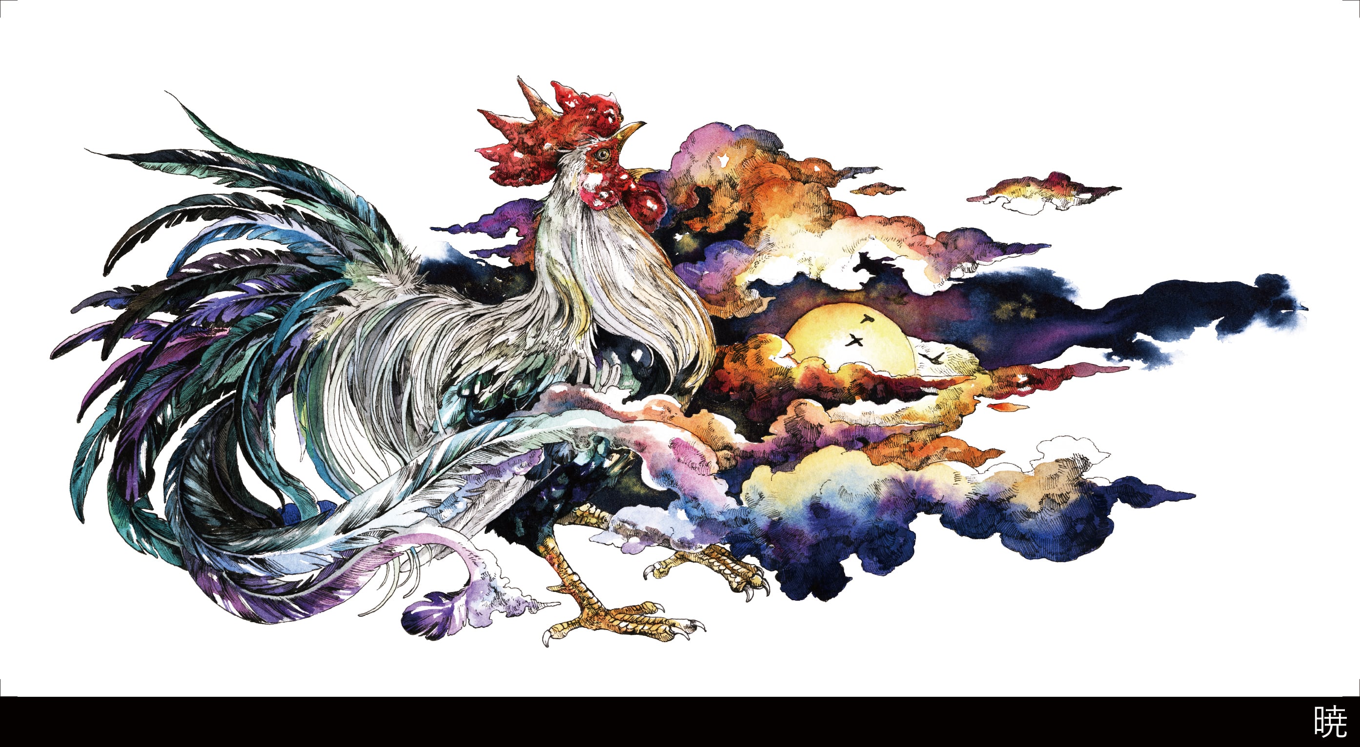 長型ポストカード | KEN MATSUDA ONLINE STORE