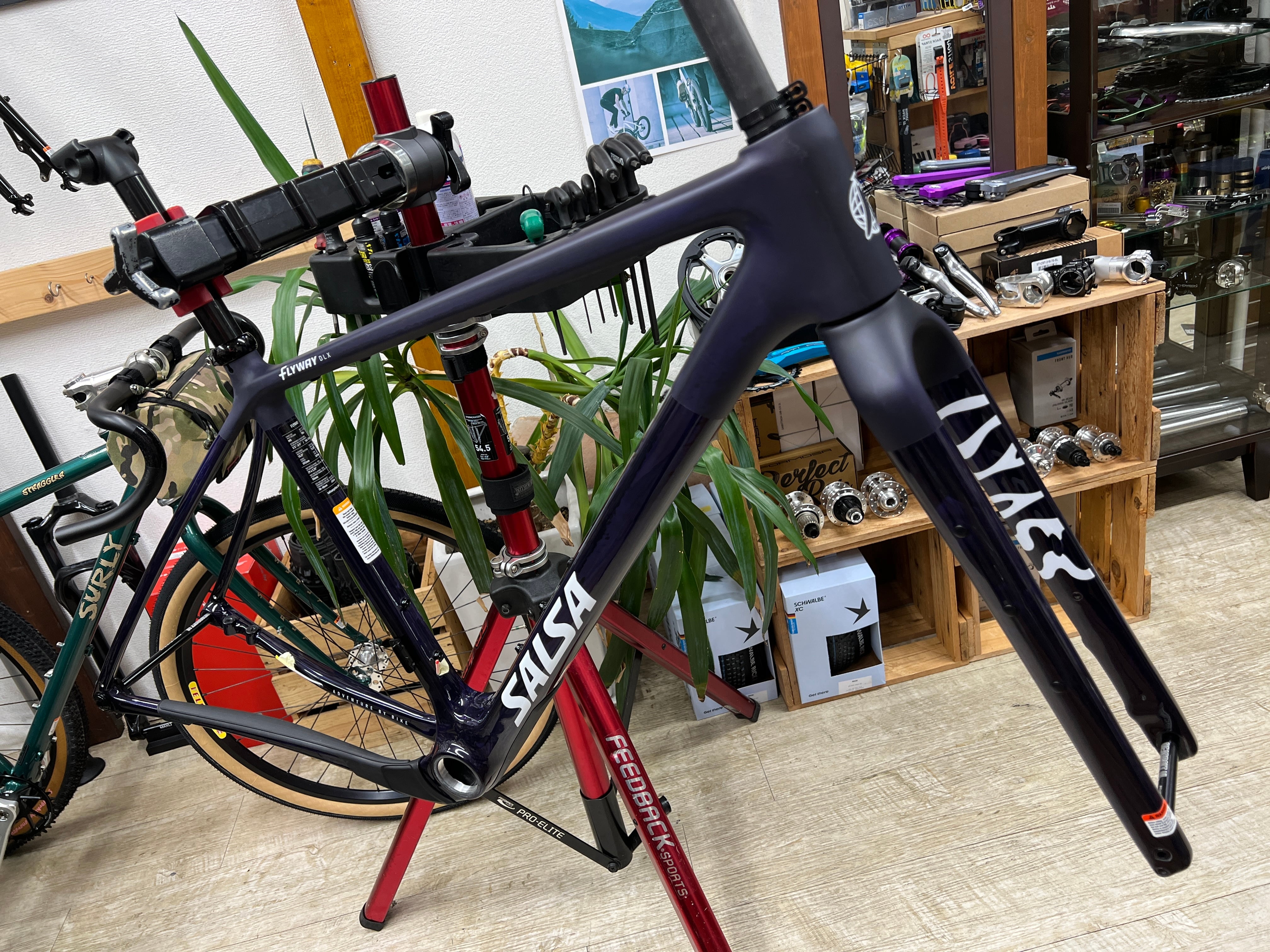 SALSA / サルサ | Snatch Cycles