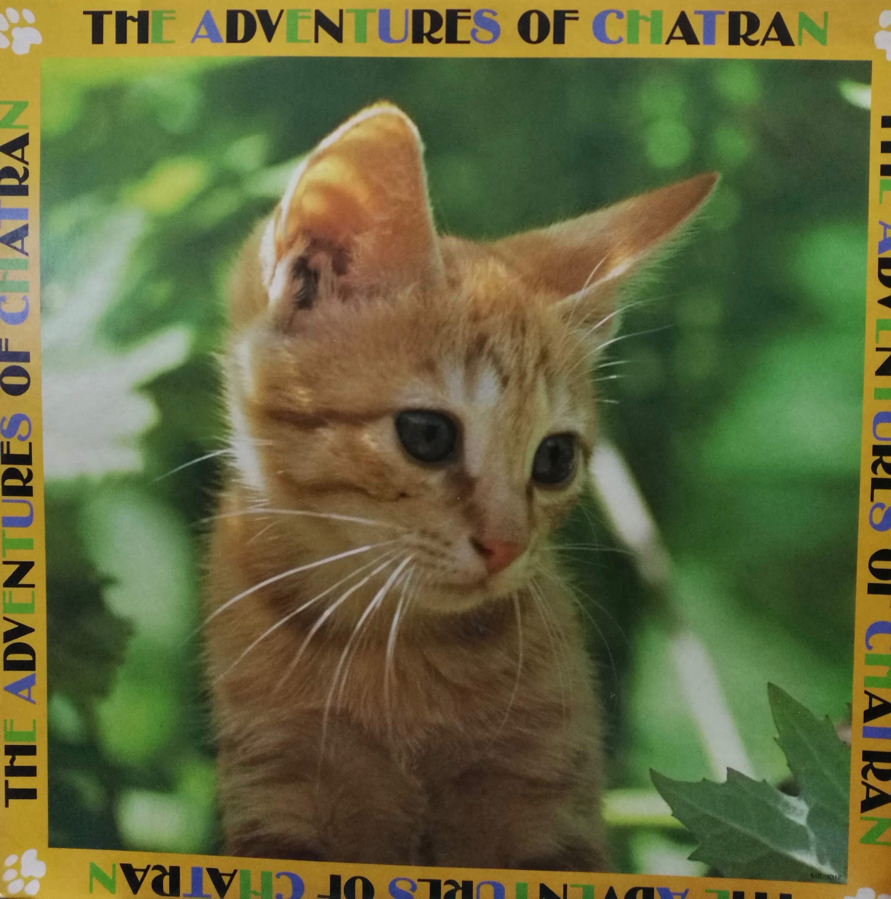 LP】坂本龍一 / 子猫物語 ~The Adventures Of Chatran~ | PAY ID