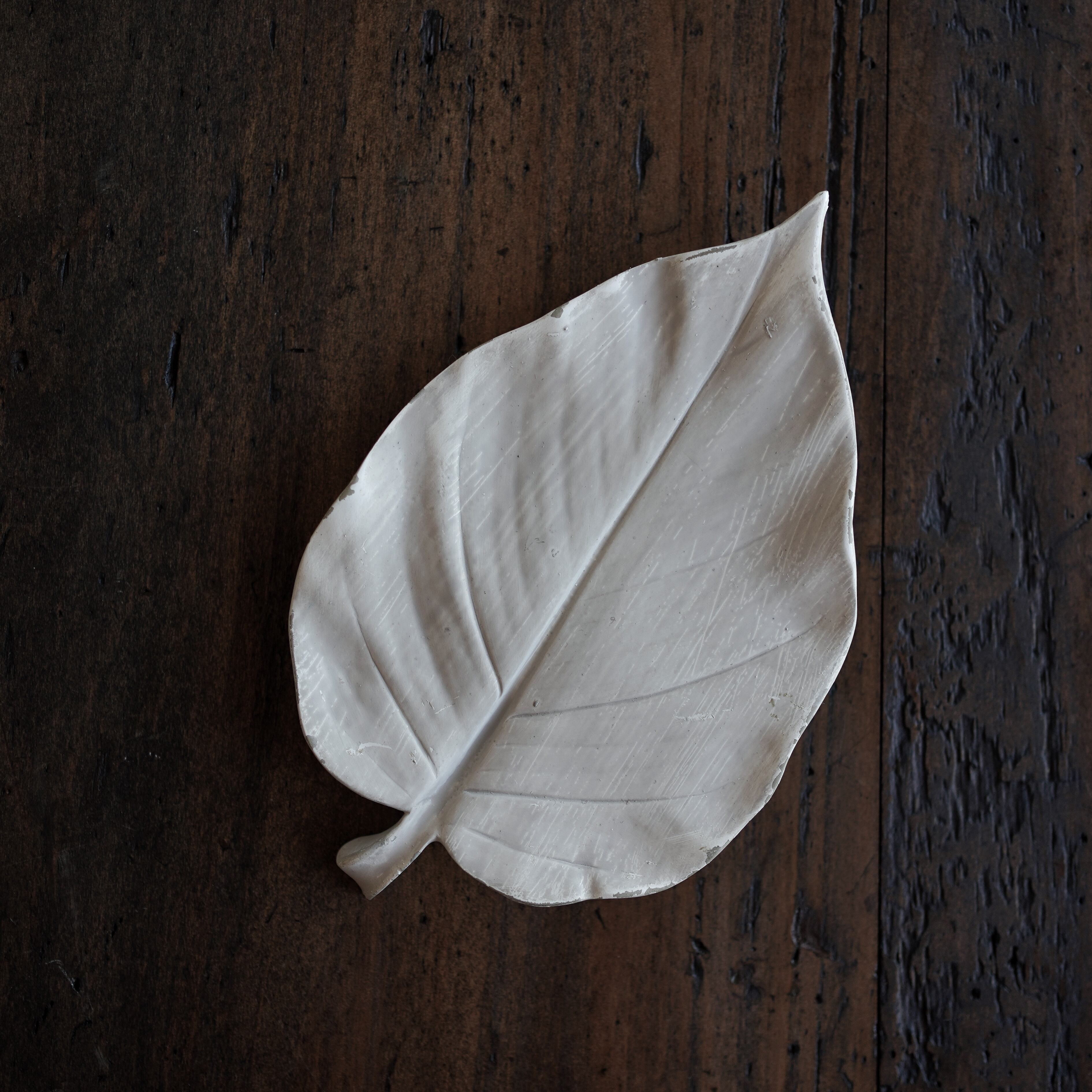 リーフ ウォールデコレーション L