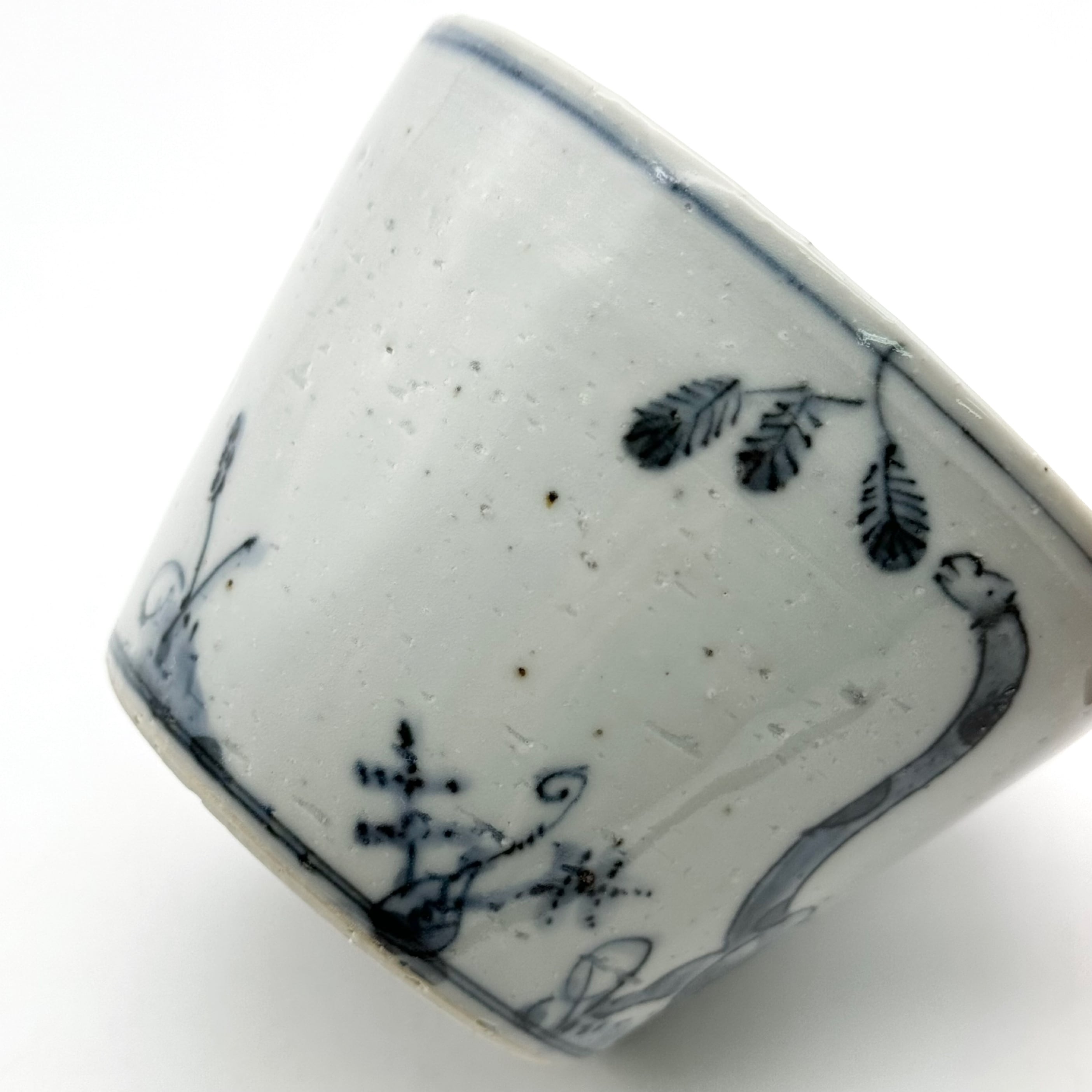 DINOSAUR 蕎麦猪口 ブラキオサオルス《studio wani》 | 24to3［西富