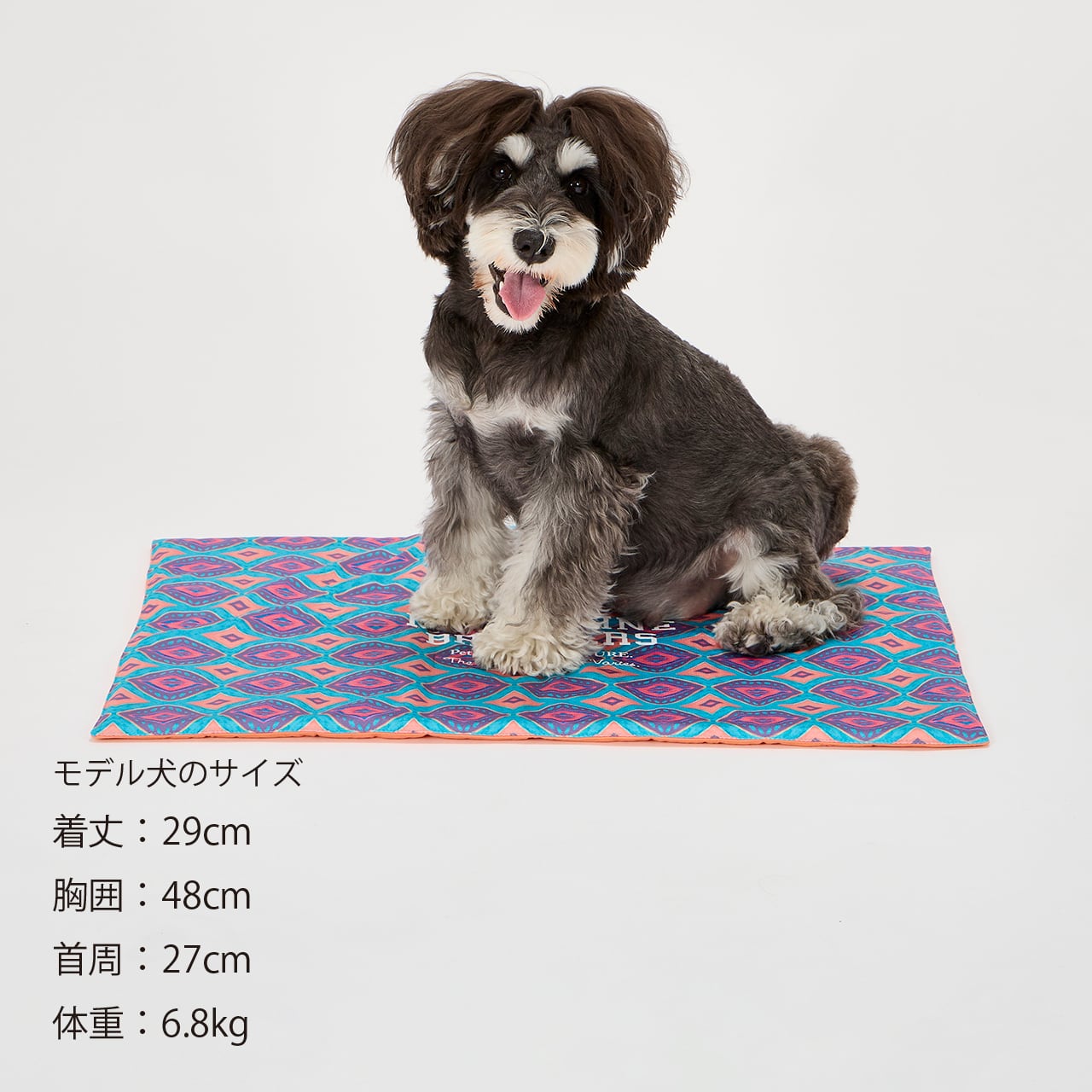 COOL CAFE MAT クールカフェマット | MANDARINE BROTHERS マンダリン