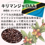 キリマンジャロAA (タンザニア)