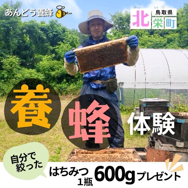 【予約 大人用】あんどう養蜂　まるごと養蜂体験（約3時間）蜂蜜プレゼント ※2025/10/1〜