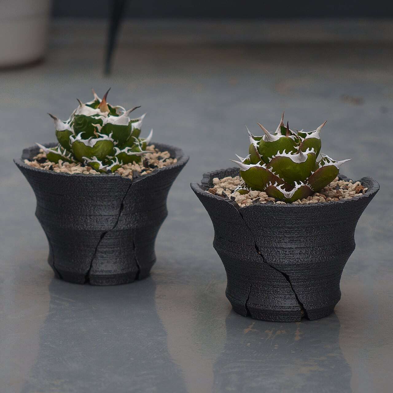 Green Mountain クラックスリット鉢 G 大鉢 (15cm) | one4