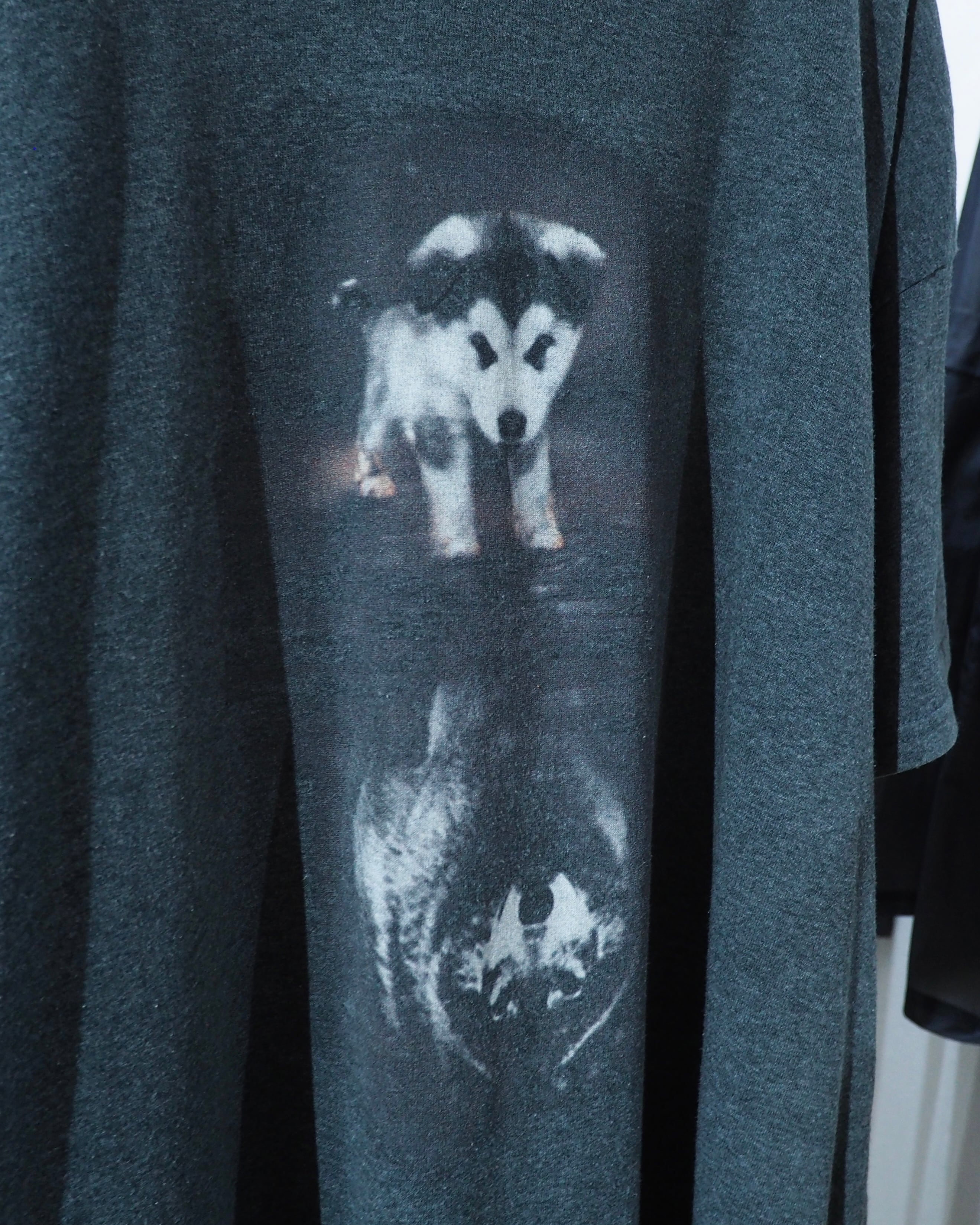 " 深淵 " Siberian husky Graphic printed SS Tee