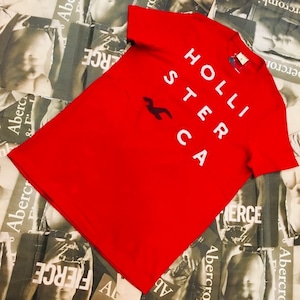 HOLLISTER　MENS　Ｔシャツ　Ｍサイズ