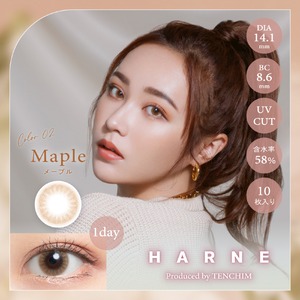 ハルネ(HARNE 1day)《Maple》メープル[10枚入り]