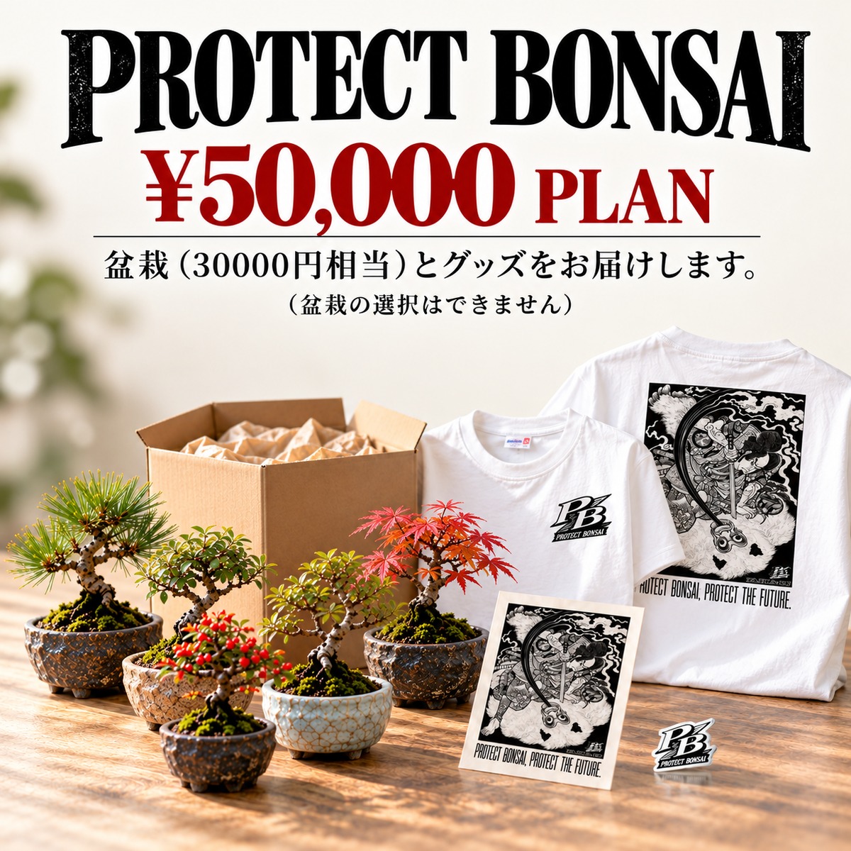 やじま園の盆栽＆PROTECT BONSAI SET｜5万円セットホワイト（購入期間