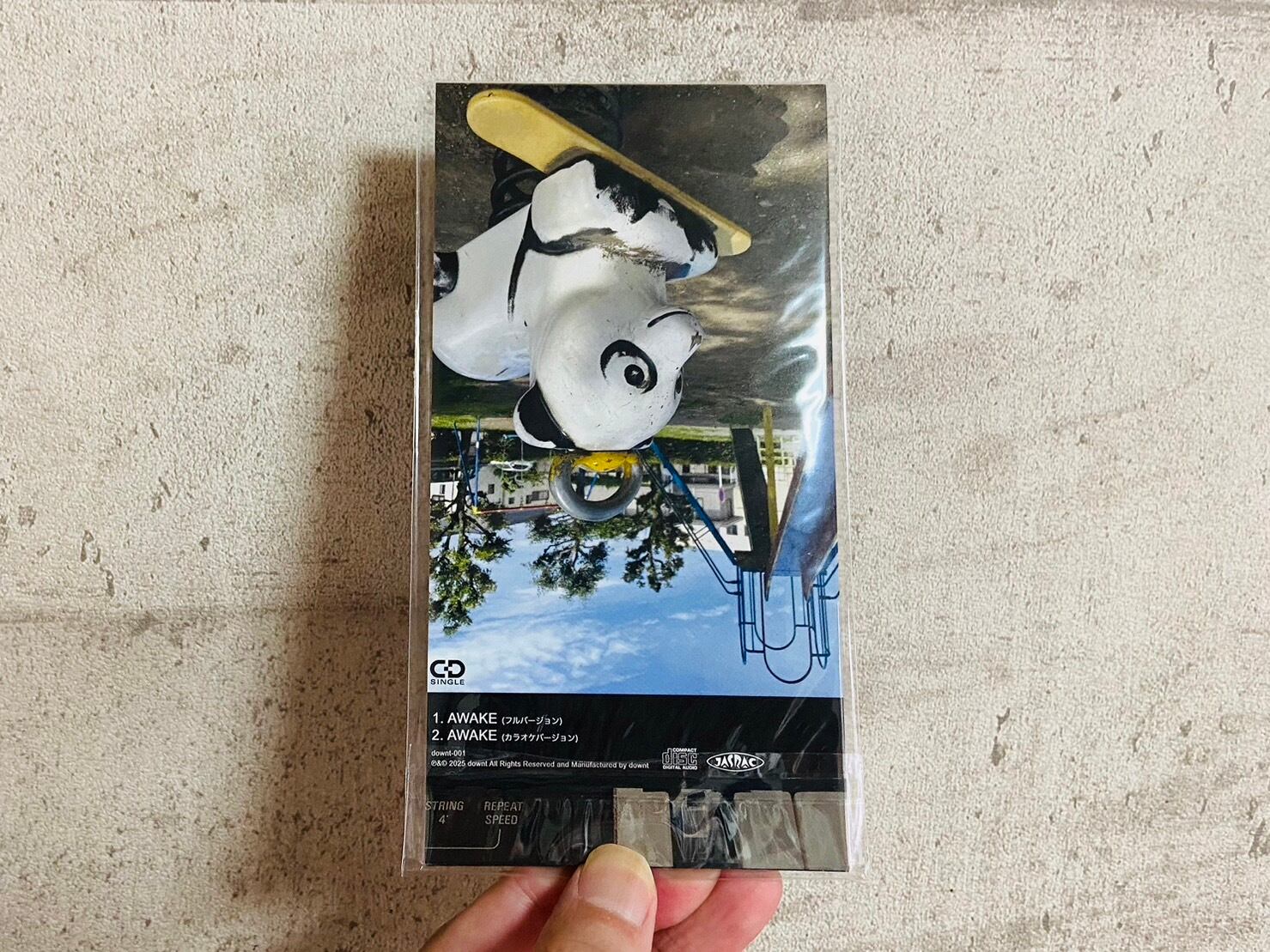 8センチシングル】downt / AWAKE | HOLIDAY! RECORDS DISTRO