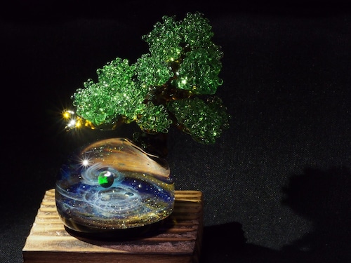 「spaceBonsai」  オーダー