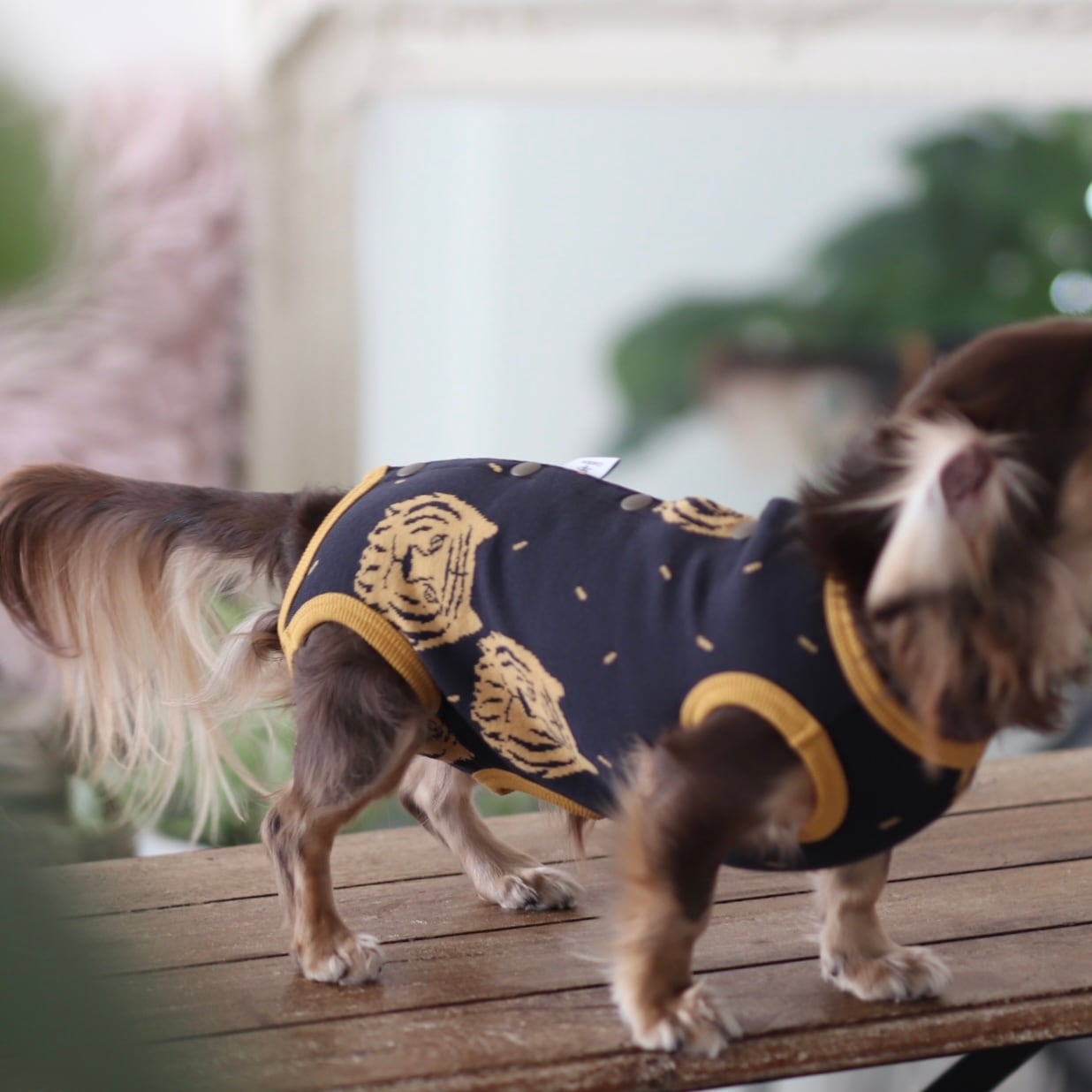 術後服になるロンパース（男のコ）タイガー | カニンヘンダックスと