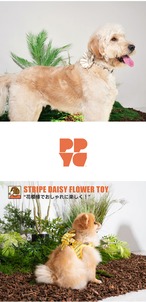 STRIPE DAISY FLOWER TOY【3COLOR】
