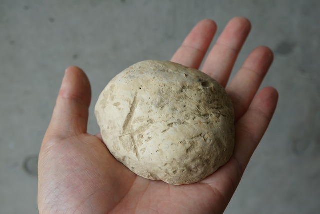 マダガスカル産セプタリアン Septarian 1393