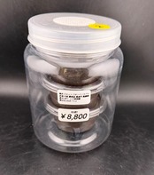 【WF1】《スキットゴホンツノカブト 幼虫3頭セット》りゅう氏委託個体