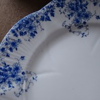 英国シェリー Dainty Blue デインティブルー トリオ thumbnail 15