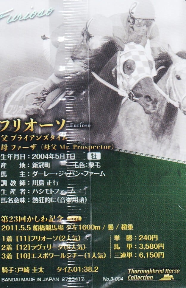 金箔サイン入)フリオーソ：第23回 かしわ記念「サラブレッドホース