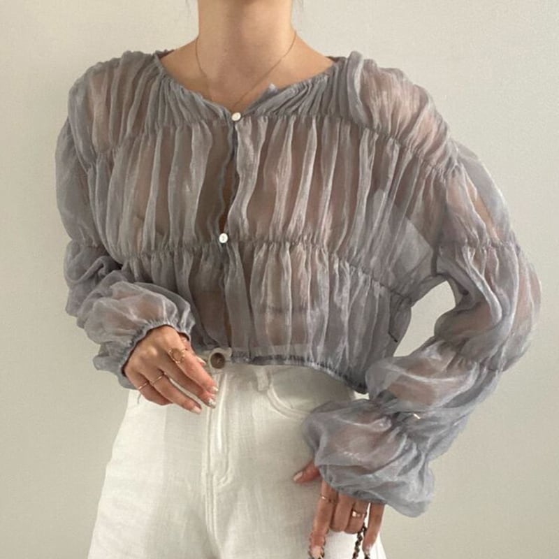 sheer puff sleeve blouse in 2 colors S1230