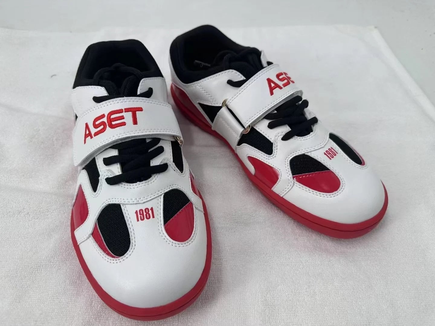 アセット綱引きシューズASET1981 S25d8401784270 | e-通販