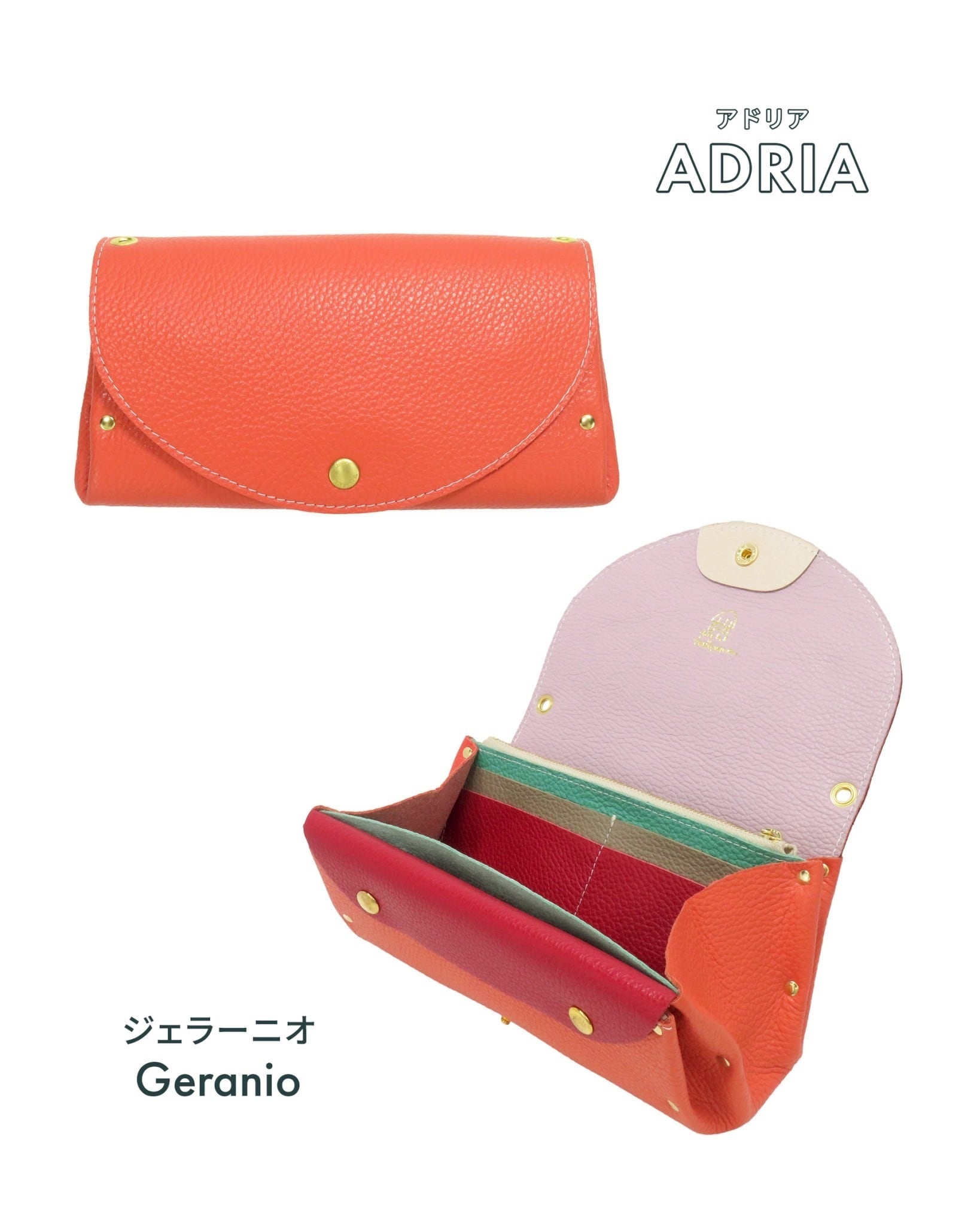 Wallet | YUICHI TACHIYAMA