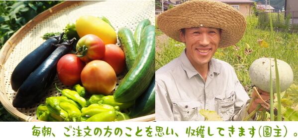 【無農薬自然栽培農園】飛騨高山よしま農園・年４回配送プレミアムサポーター