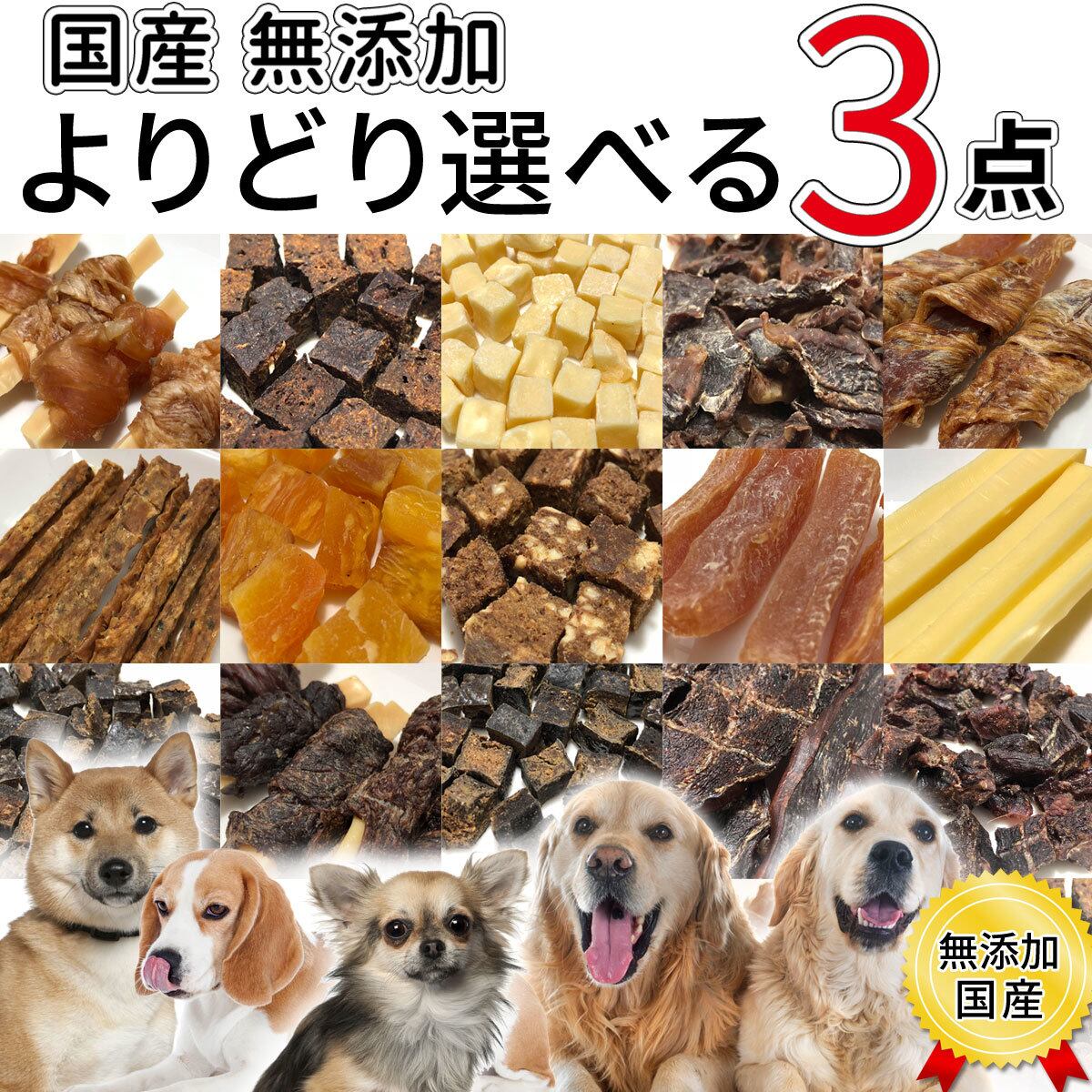 DogFoodle) ドッグフードル 犬食 選べる 3個 お試し 小分け セット