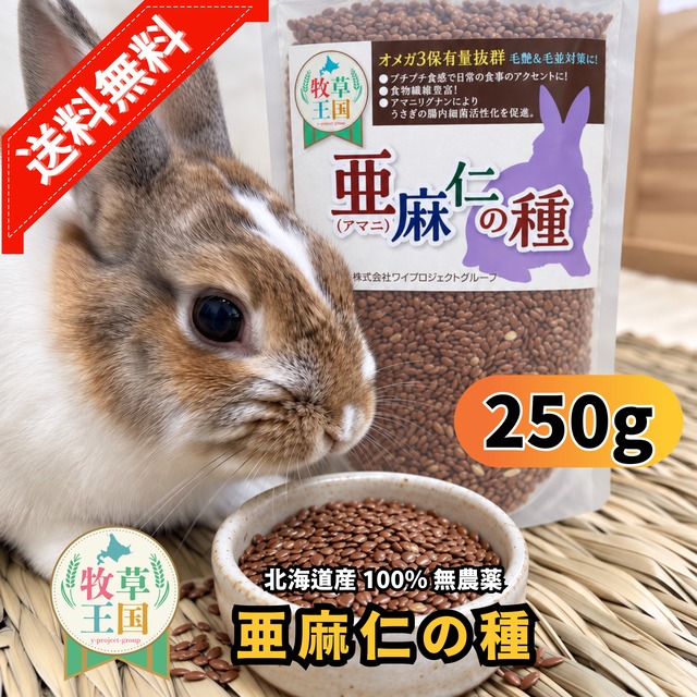 牧草王国　北海道産　亜麻仁の種　250g