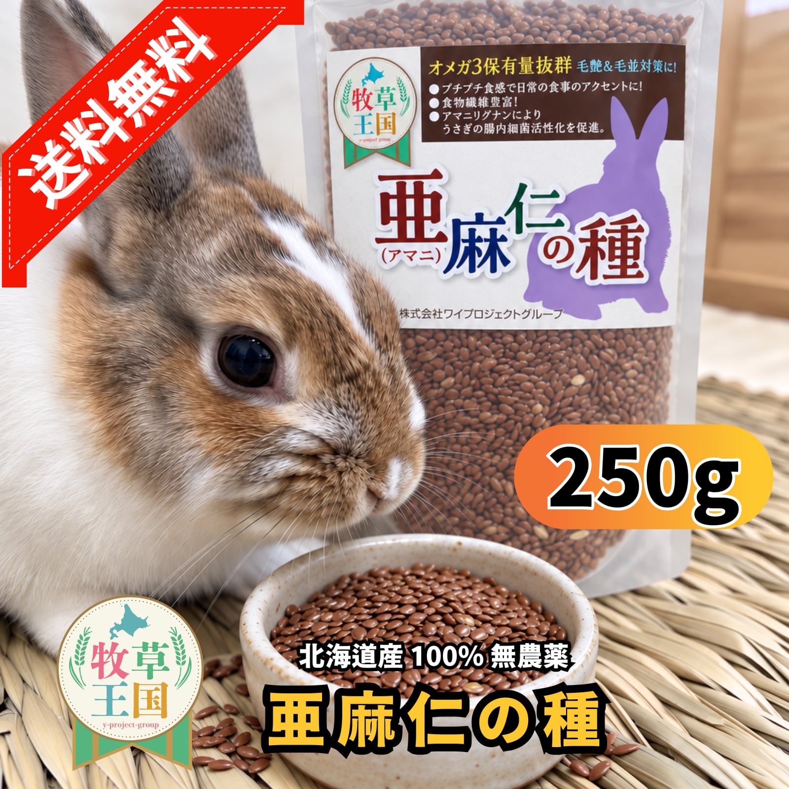 牧草王国 北海道産 亜麻仁の種 250g