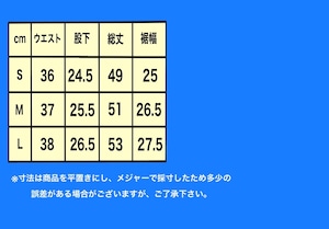 サーフパンツ SEASON1 グリーン