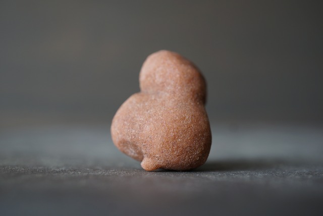 モロッコ産ストロマトライト Stromatolite 1059