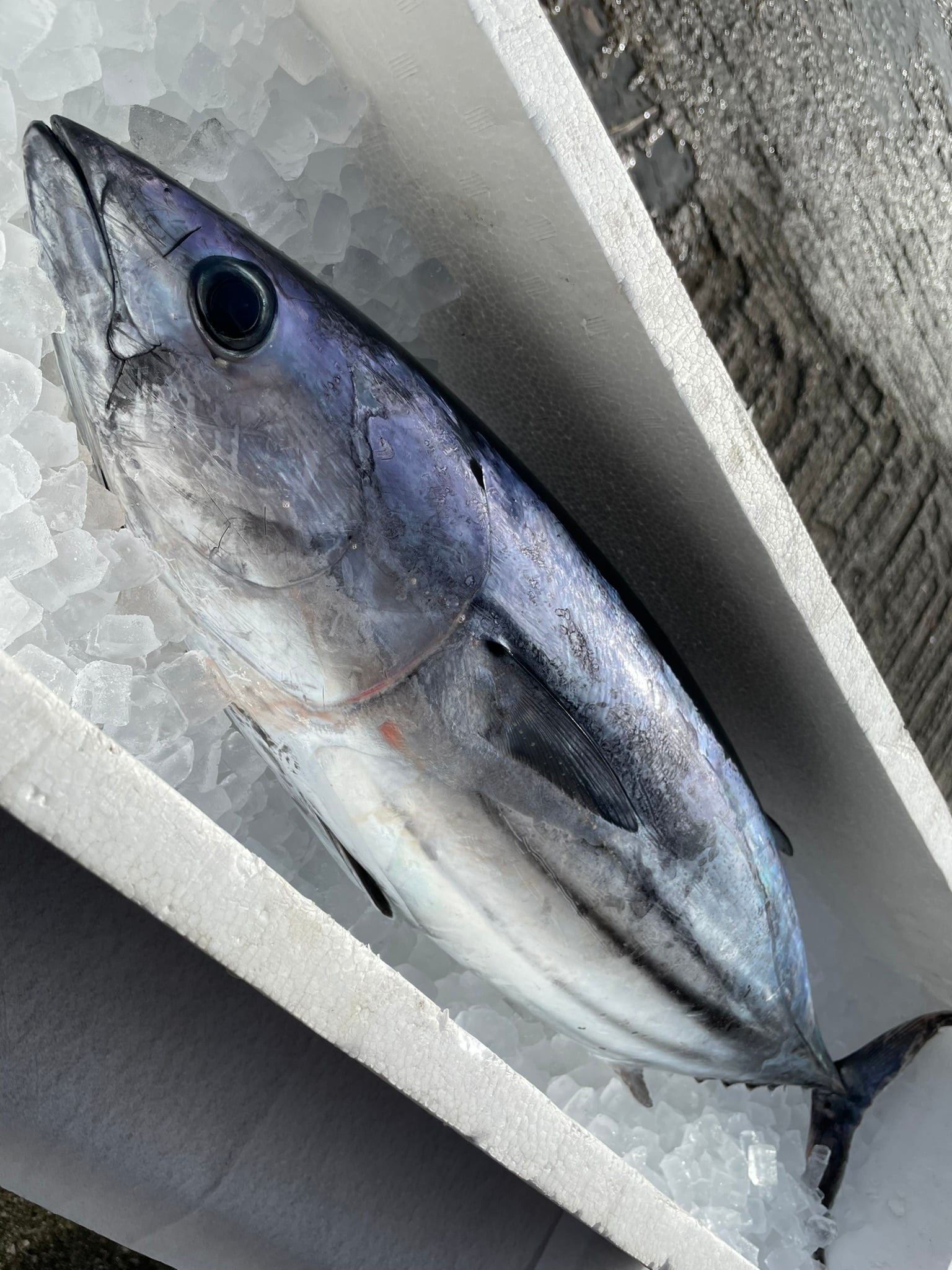 a655ad0662eb1caca019db1878f244