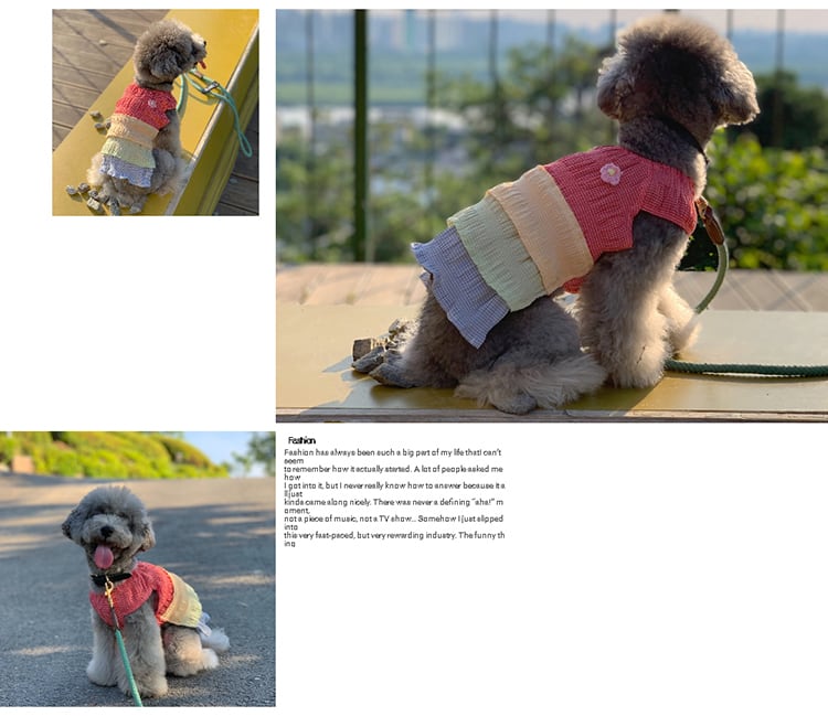 【SALE】チェックレインボーワンピース XS ~ XL / 犬服 春夏 新作 涼しい 可愛い 犬の服 ドッグウェア ワンちゃん 猫 小型犬 中型犬