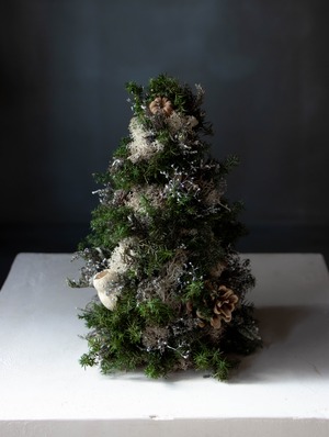 クリスマスツリー_03